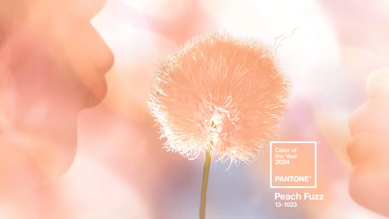 Peach Fuzz: A Cor Pantone De 2024